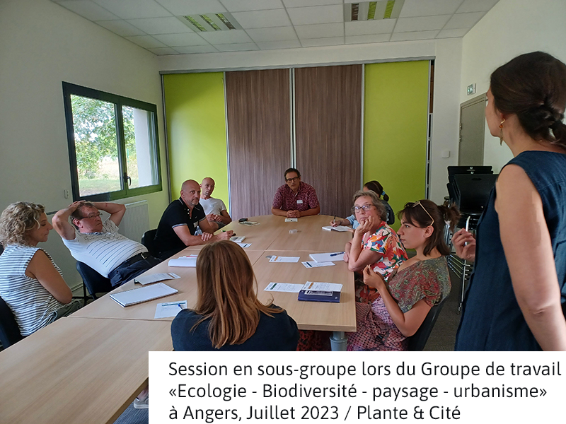 Session en sous-groupe lors du Groupe de travail «Ecologie - Biodiversité - paysage - urbanisme» 
à Angers, Juillet 2023 / Plante & Cité