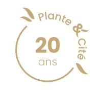 Logo 20 ans